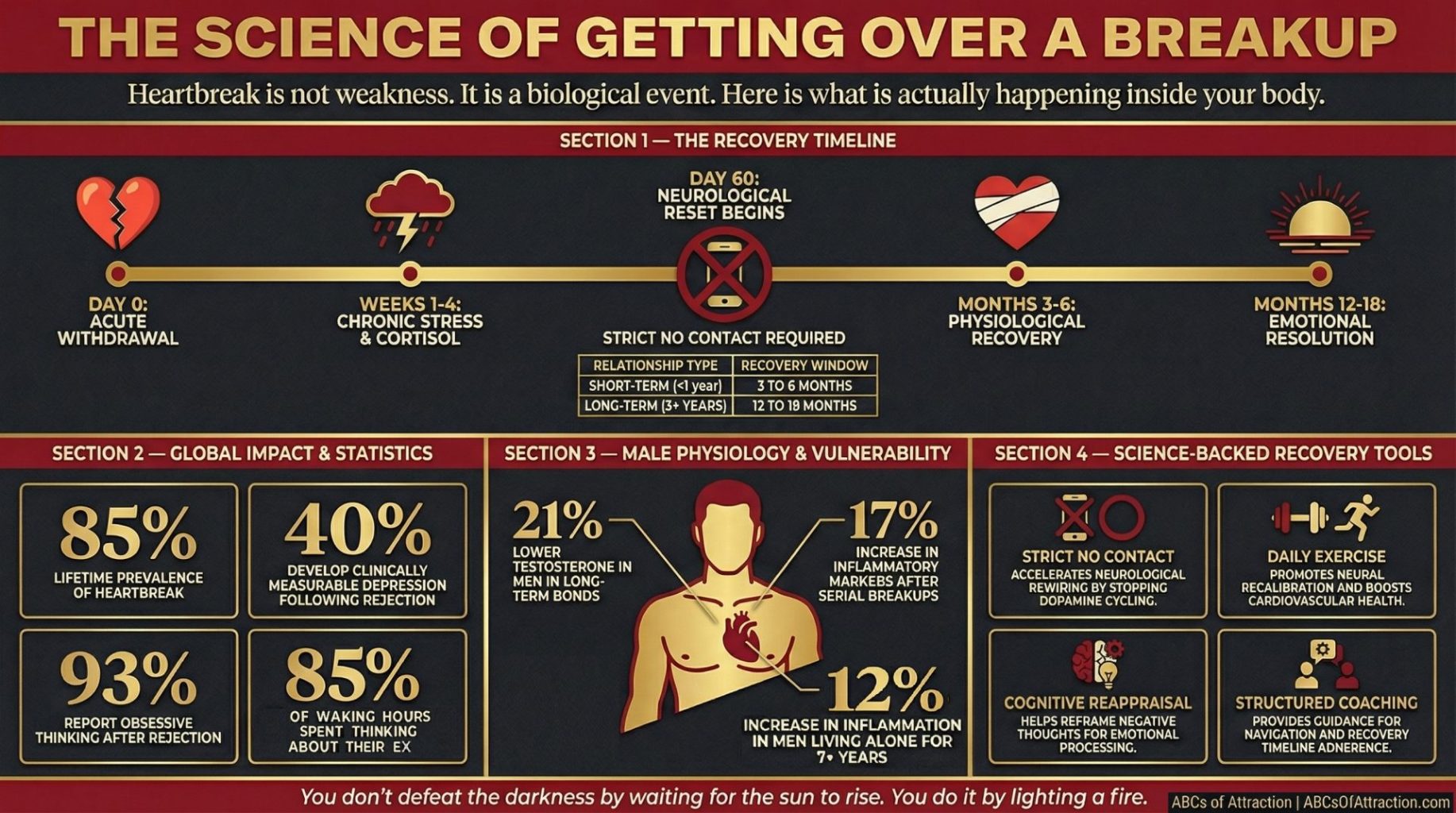 Infographic showing the science of getting over a breakup including recovery timeline and statistics