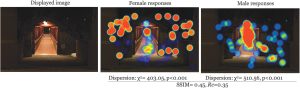 BYU 2024 Female and Male Gaze Heat Map Study